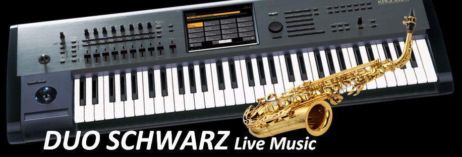 Logo Duo Schwarz